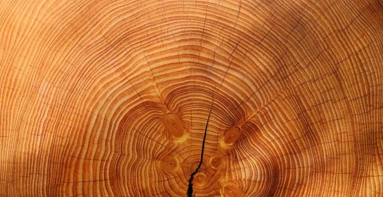 Las propiedades de la madera y sus características